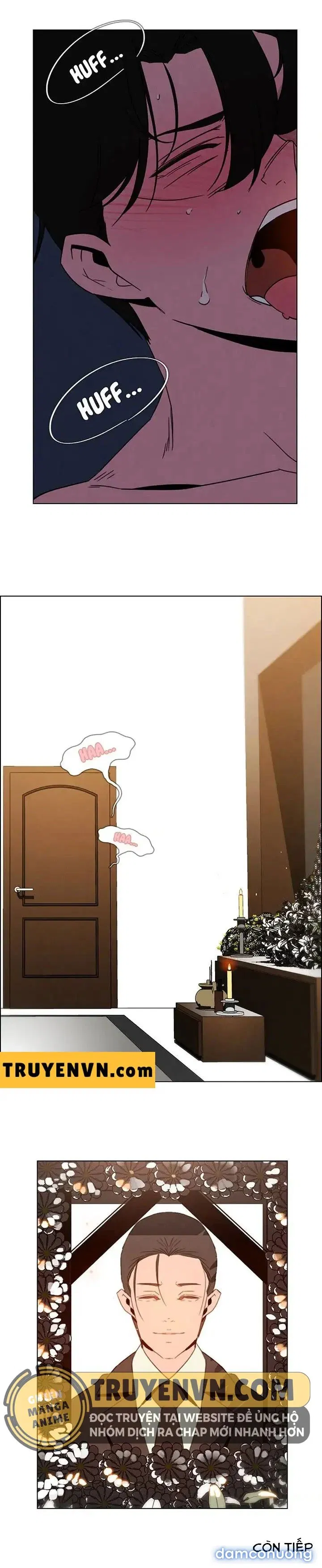 Rain Curtain 