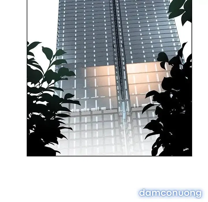 Rain Curtain 
