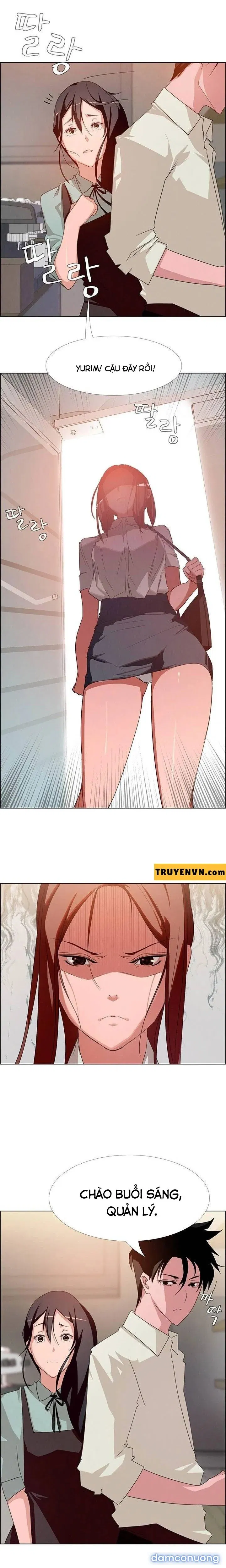 Rain Curtain 