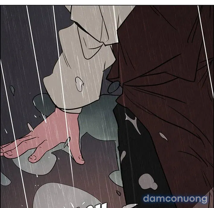 Rain Curtain 