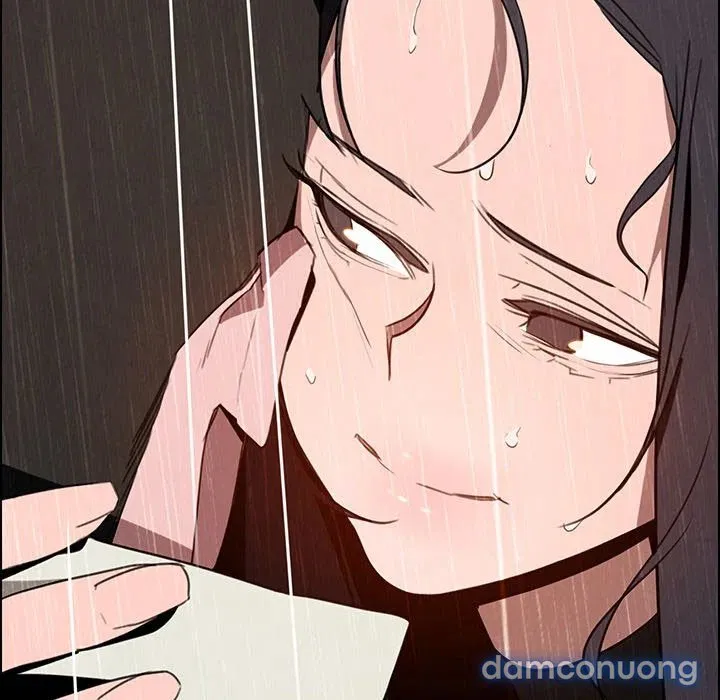 Rain Curtain 