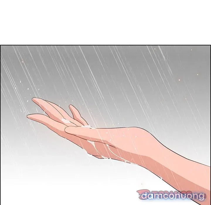 Rain Curtain 