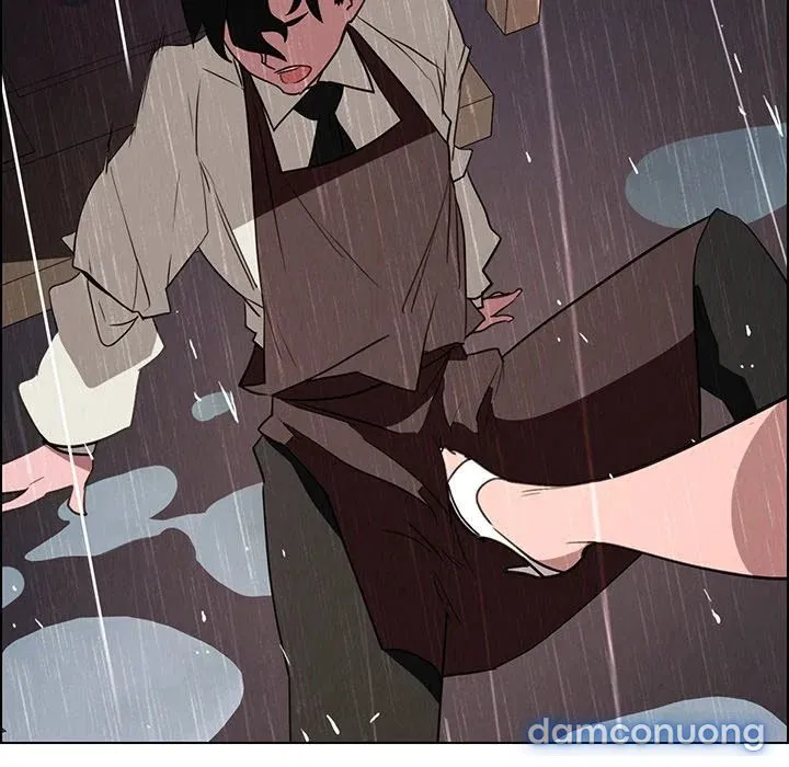 Rain Curtain 