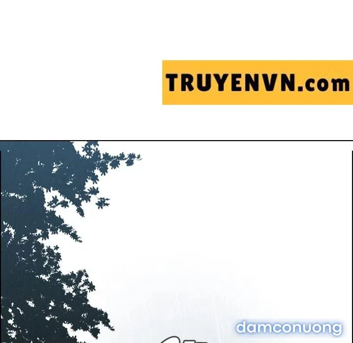 Rain Curtain 