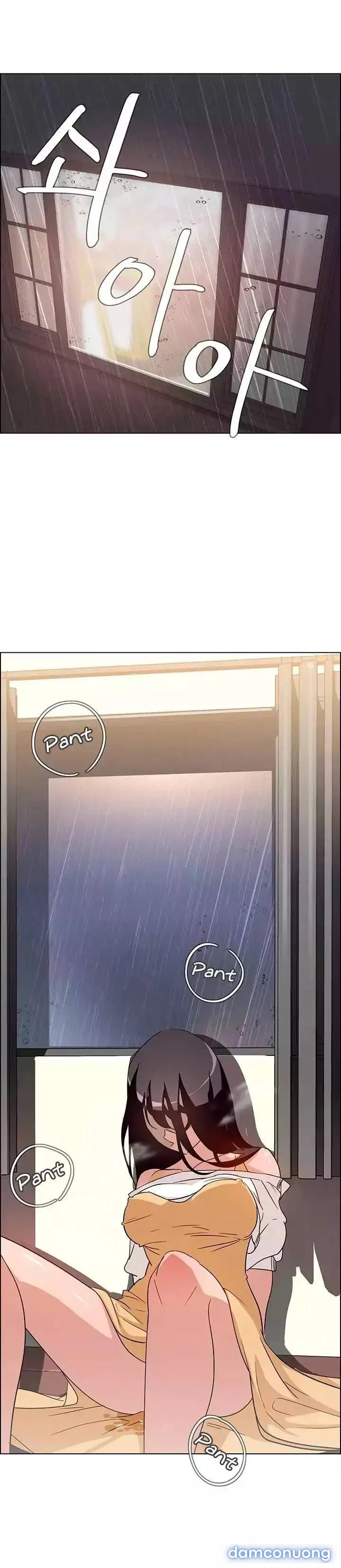 Rain Curtain 