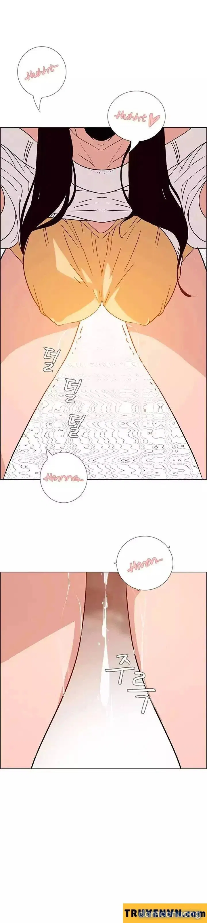 Rain Curtain 
