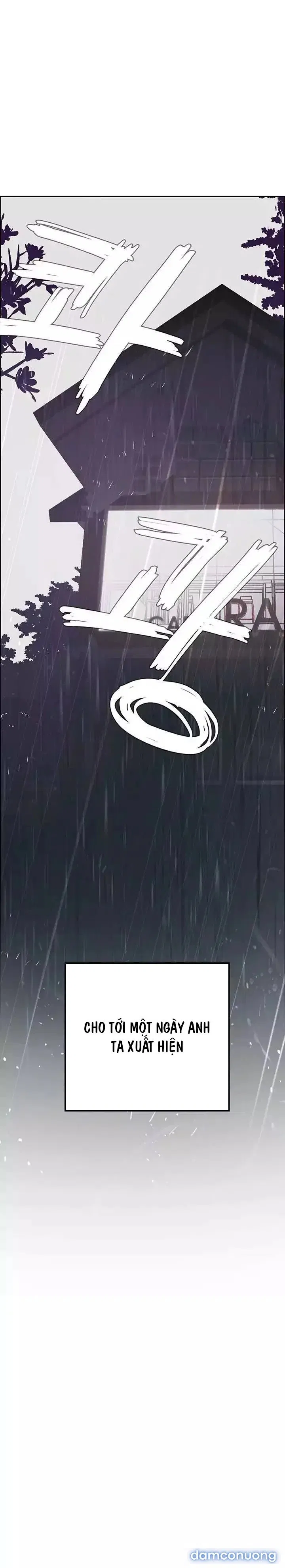 Rain Curtain 