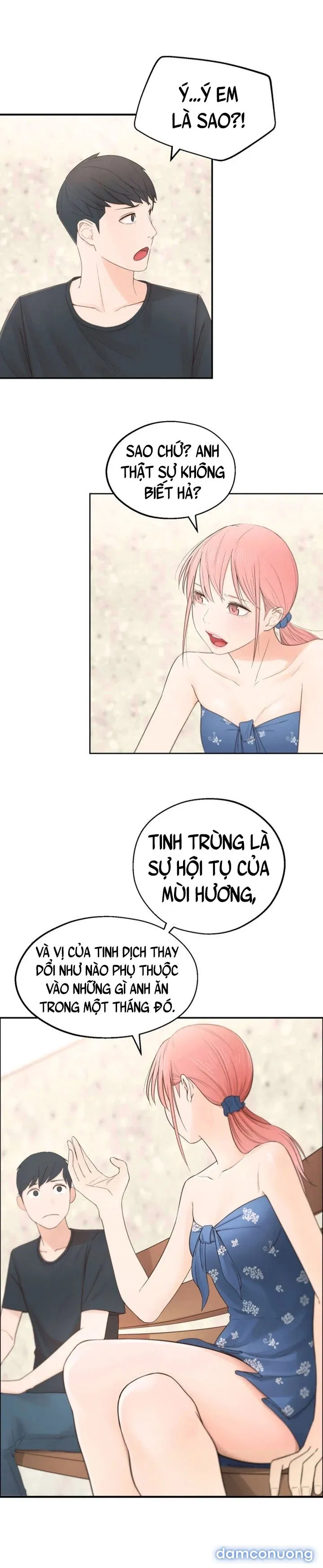 Người Chị Hiểu Biết 