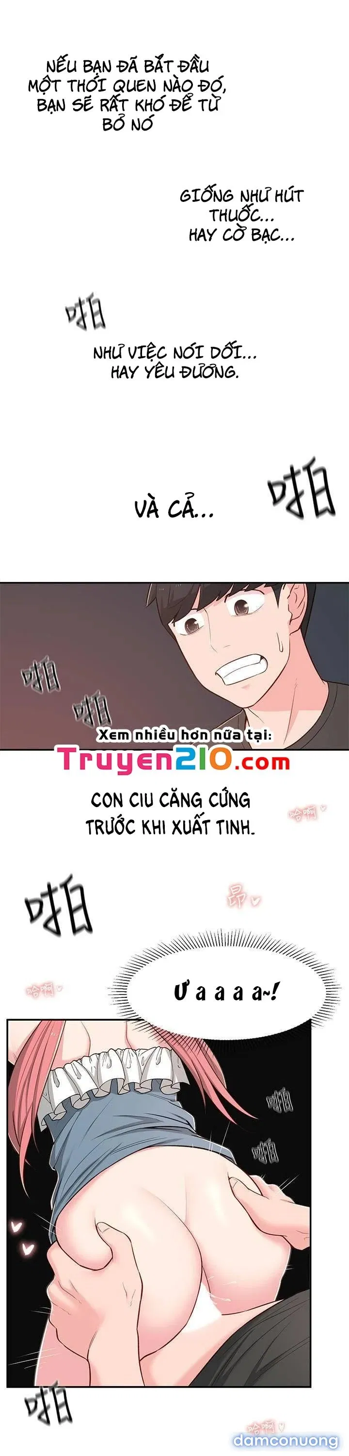 Người Chị Hiểu Biết 