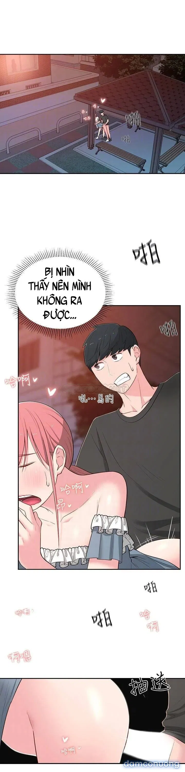 Người Chị Hiểu Biết 