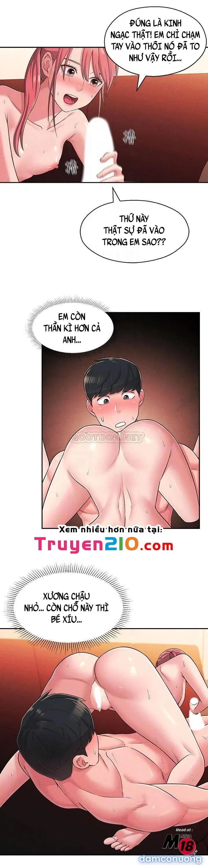 Người Chị Hiểu Biết 