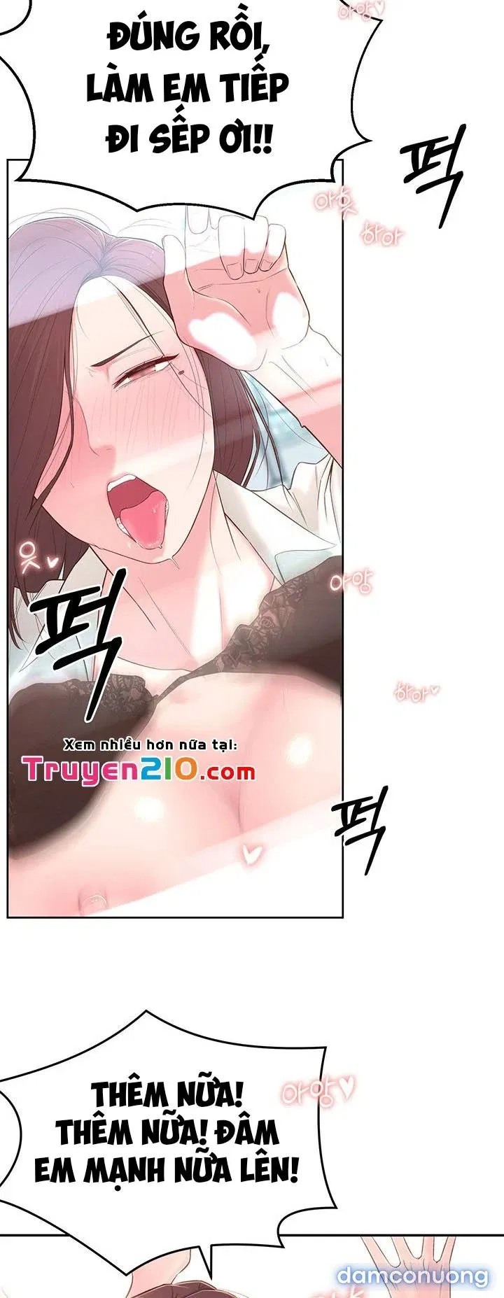 Người Chị Hiểu Biết 