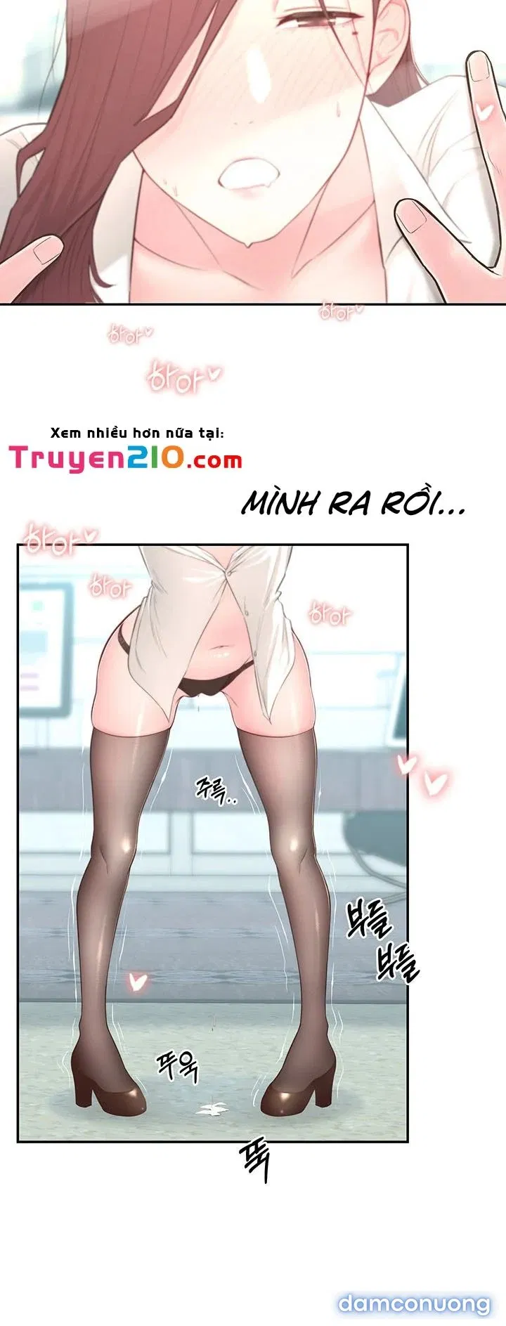 Người Chị Hiểu Biết 