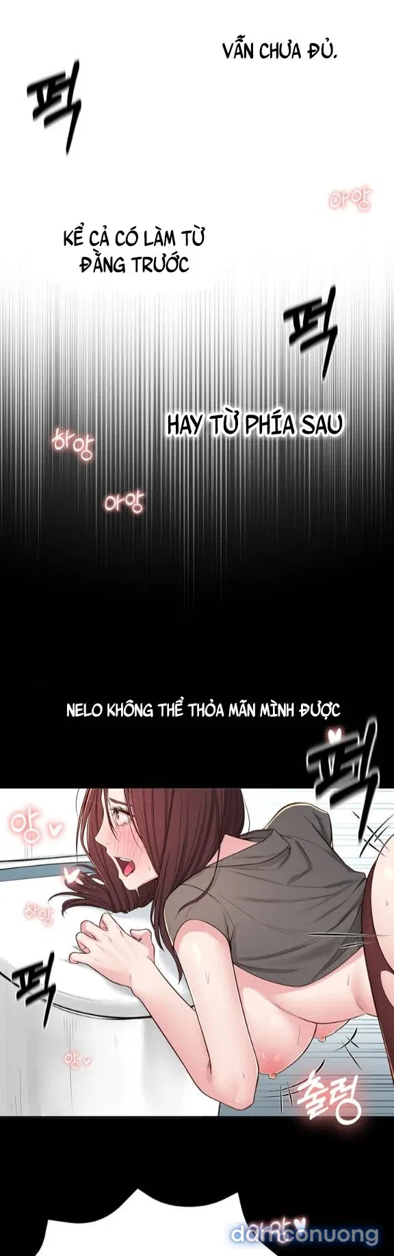 Người Chị Hiểu Biết 