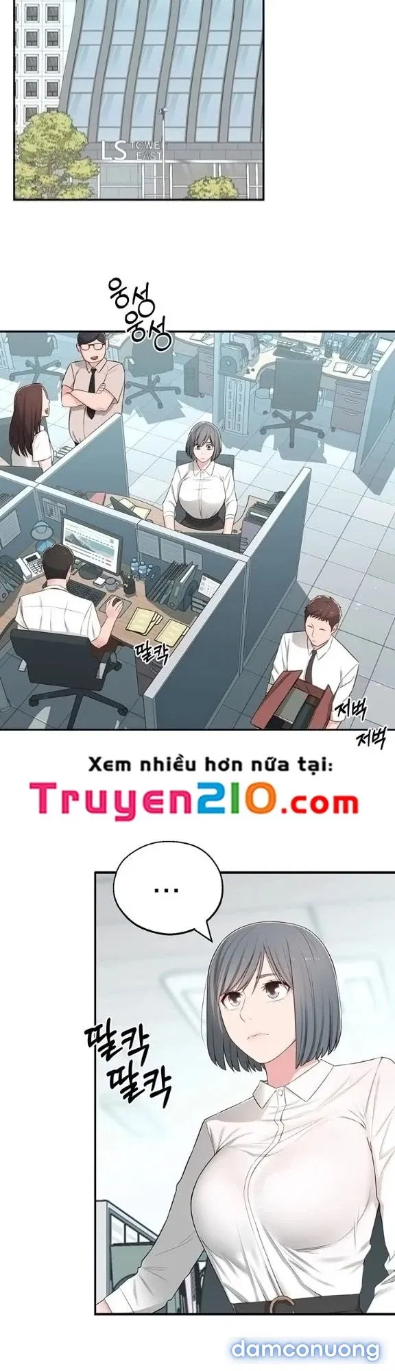 Người Chị Hiểu Biết 
