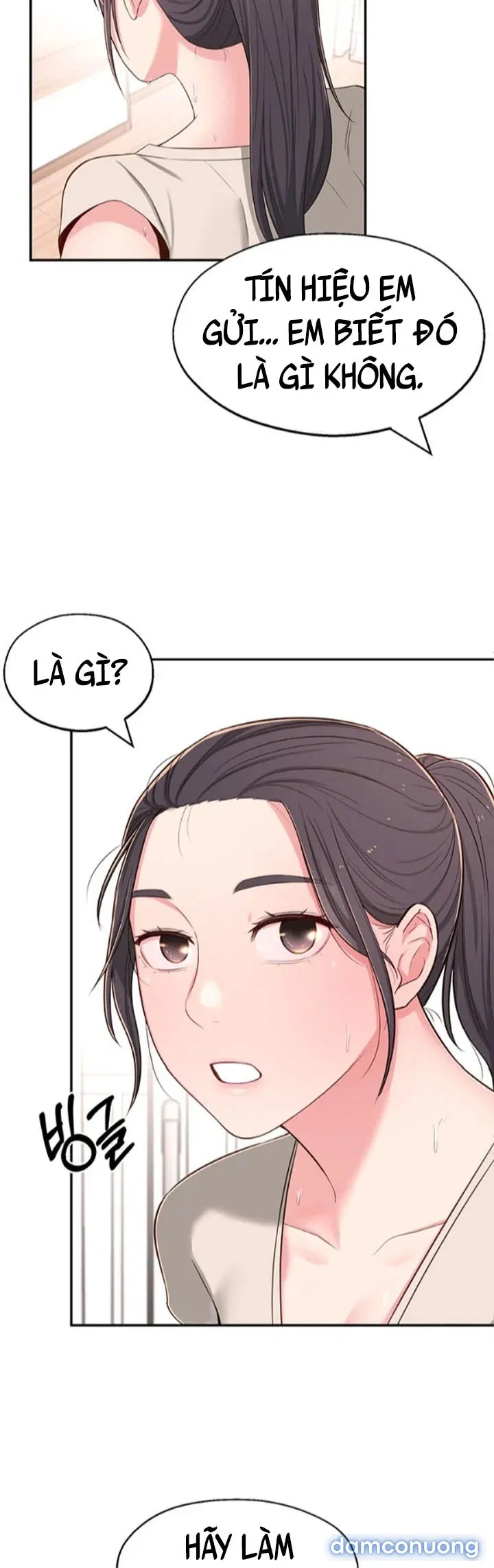 Người Chị Hiểu Biết 