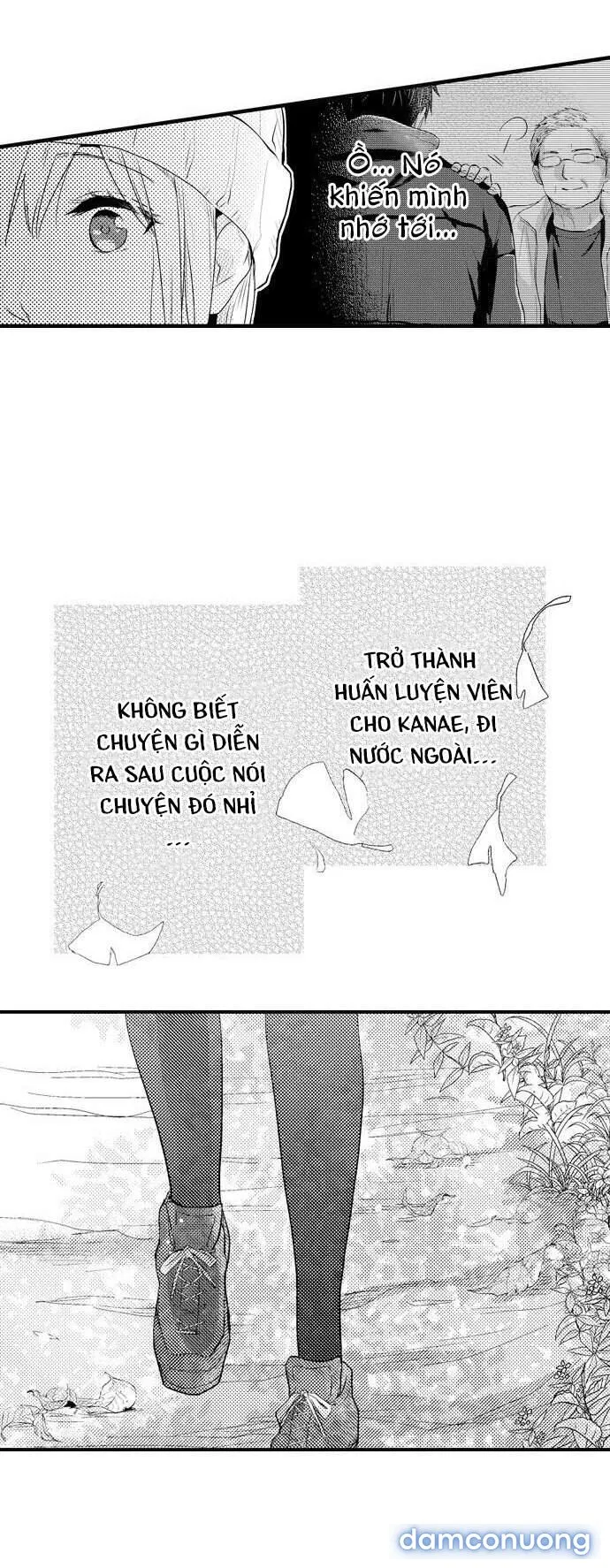 Có Phải Cơ Bắp Của Tôi Đã Kích Thích Em? 