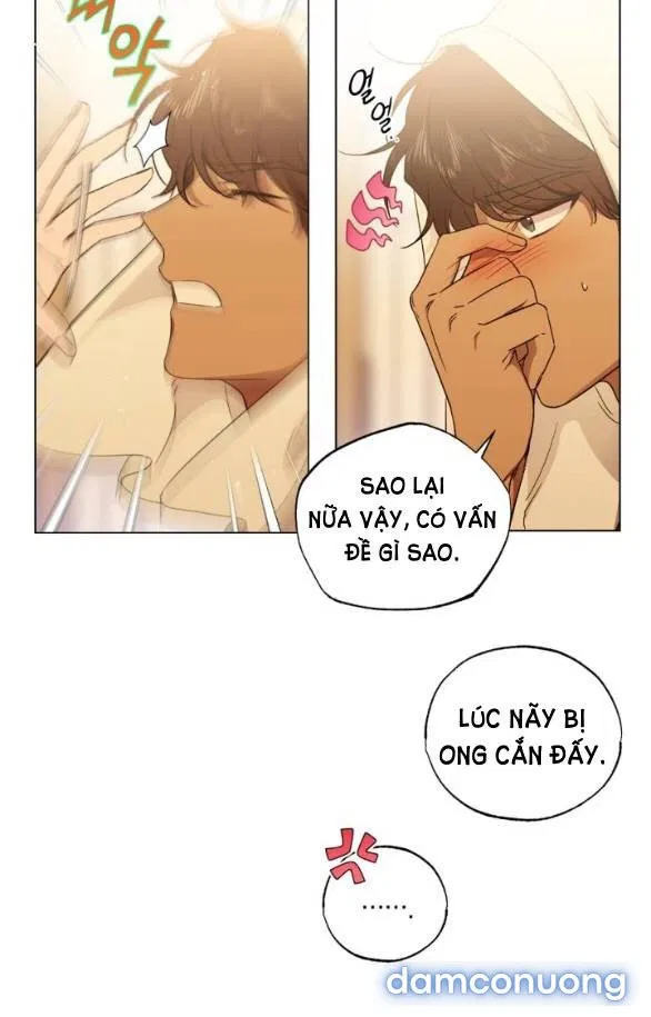 Sương Giá 