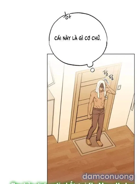 Sương Giá 