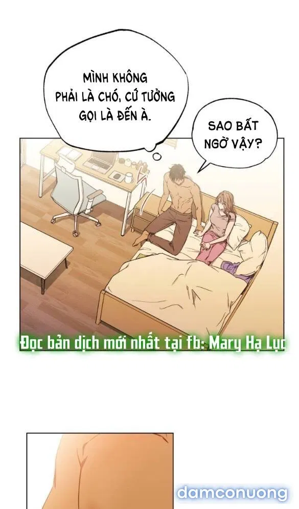 Sương Giá 