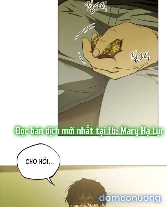 Sương Giá 