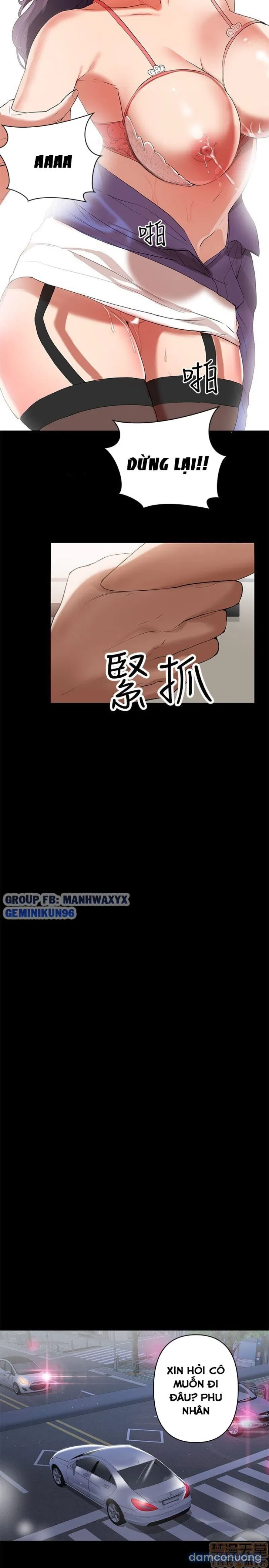 Bầu Sữa Vú Nuôi 