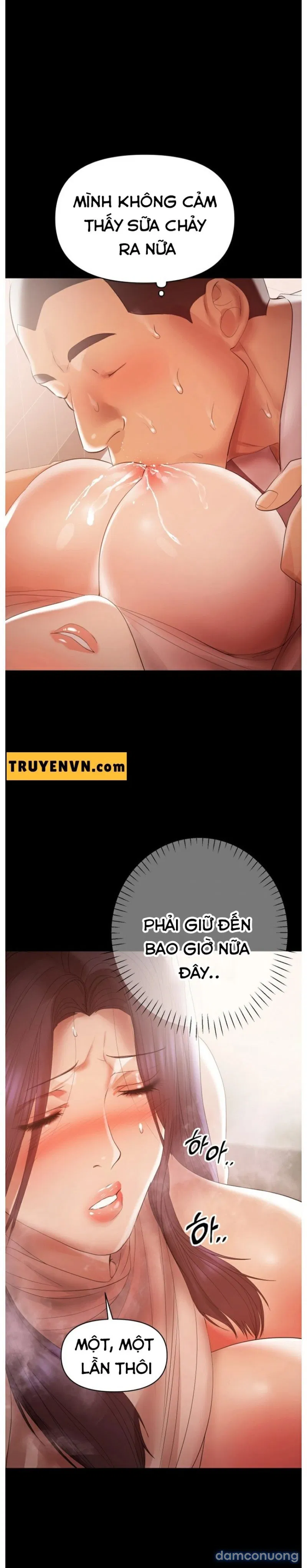 Bầu Sữa Vú Nuôi 