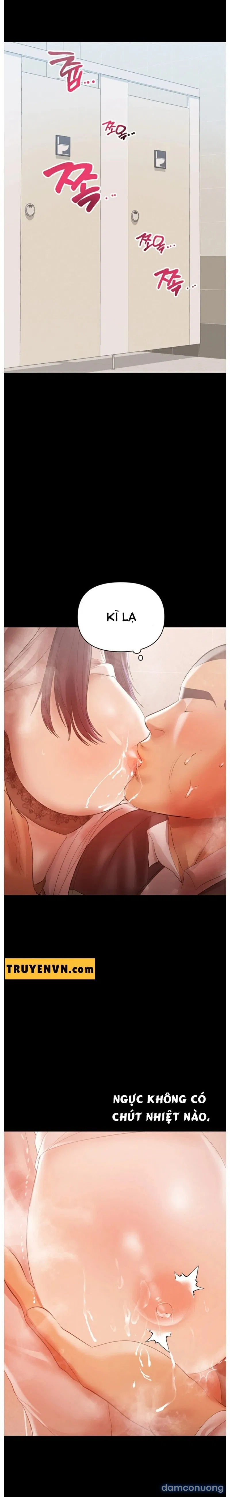 Bầu Sữa Vú Nuôi 