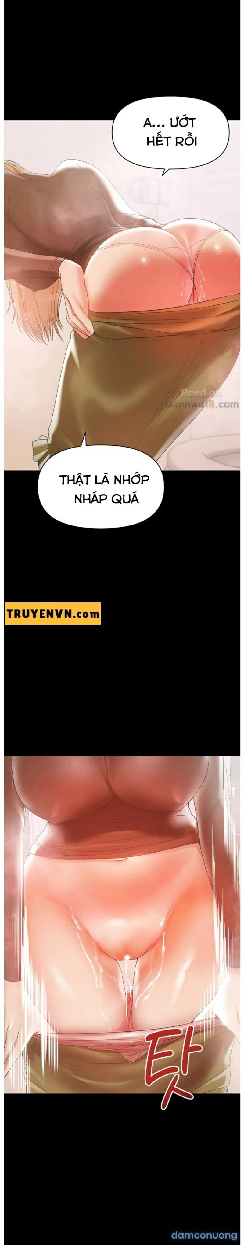 Bầu Sữa Vú Nuôi 