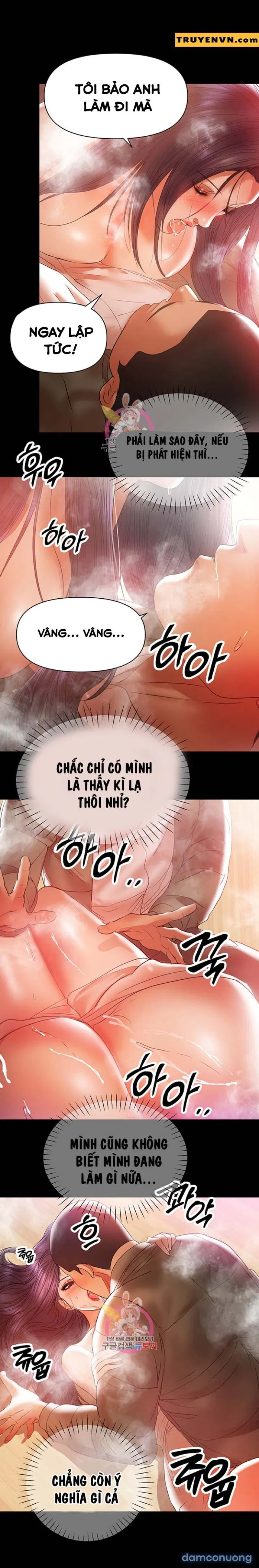 Bầu Sữa Vú Nuôi 