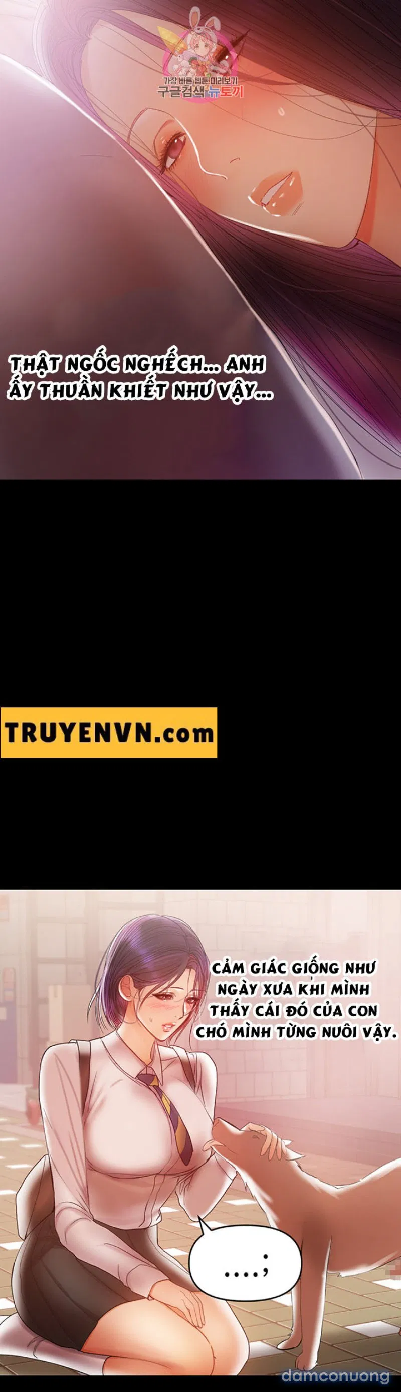 Bầu Sữa Vú Nuôi 
