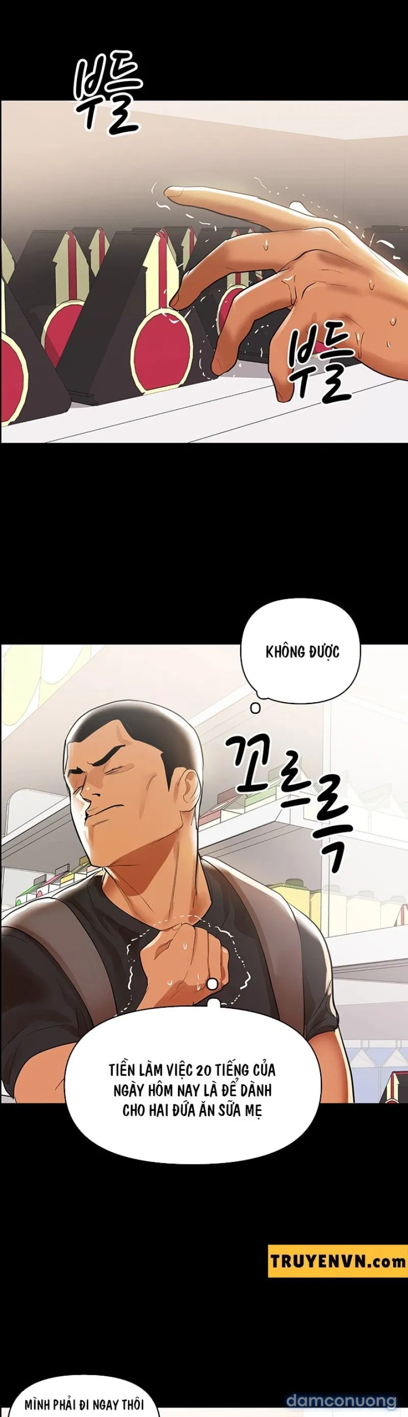 Bầu Sữa Vú Nuôi 