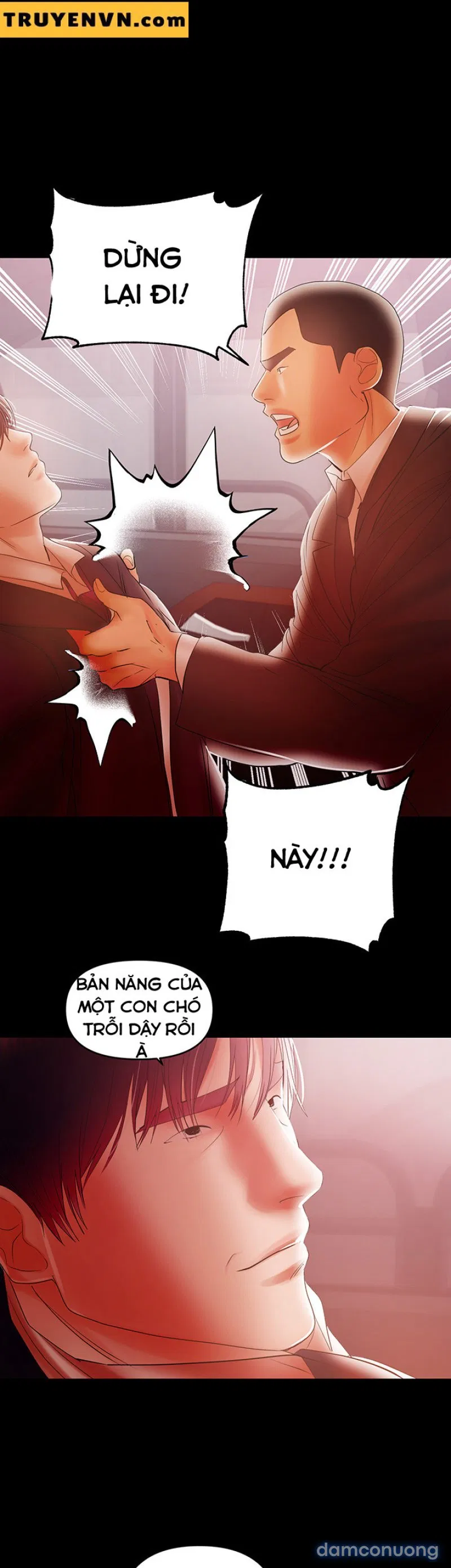 Bầu Sữa Vú Nuôi 