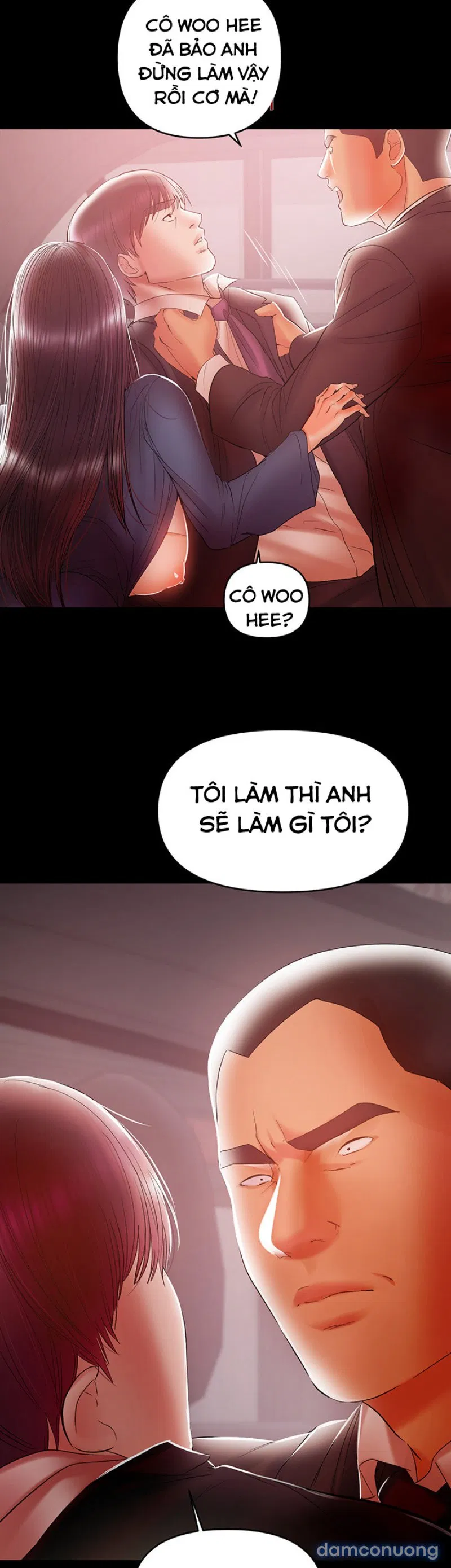 Bầu Sữa Vú Nuôi 