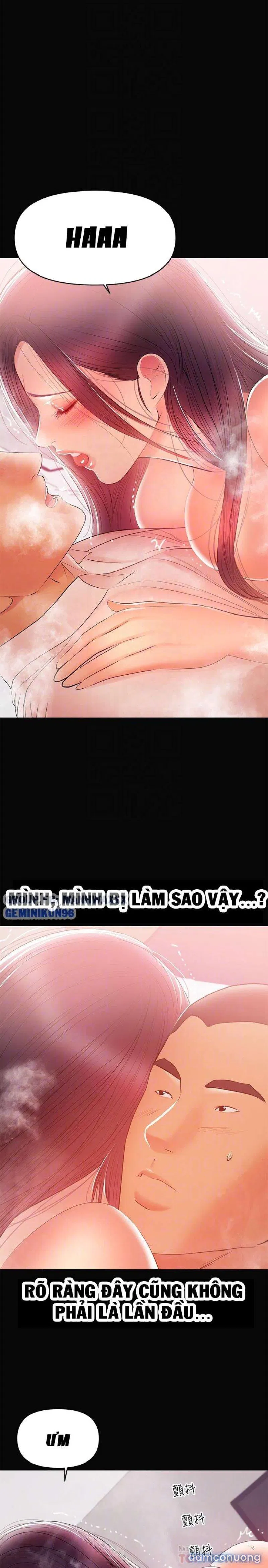 Bầu Sữa Vú Nuôi 