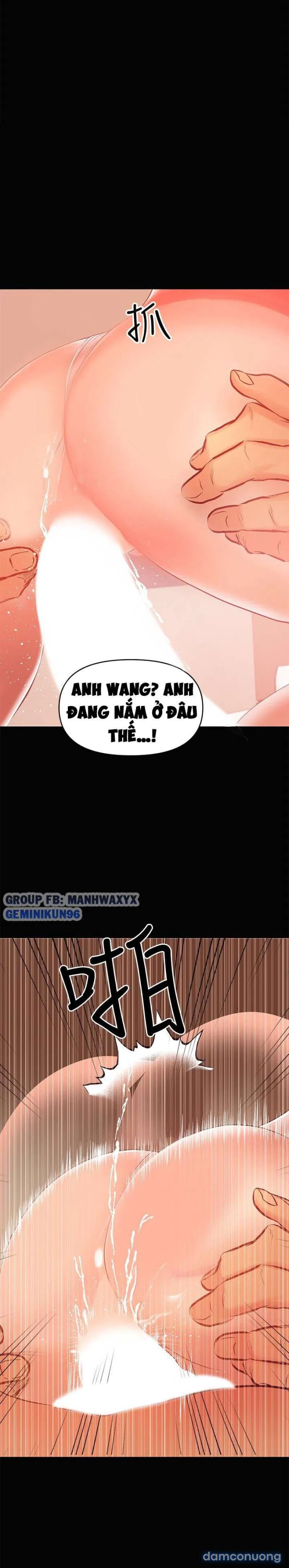 Bầu Sữa Vú Nuôi 