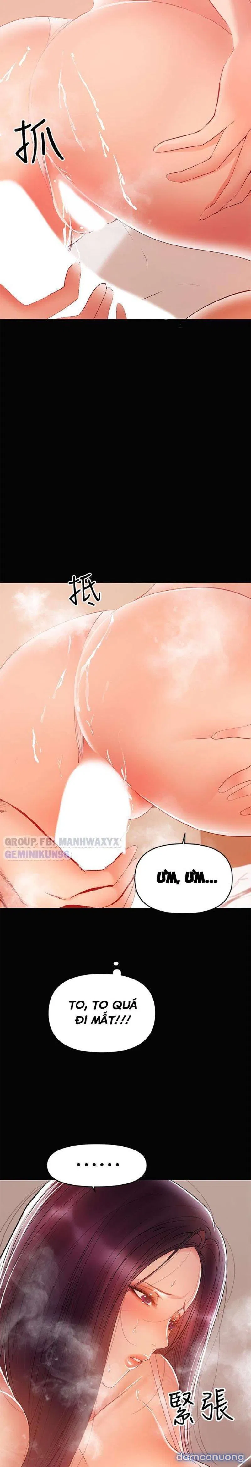 Bầu Sữa Vú Nuôi 