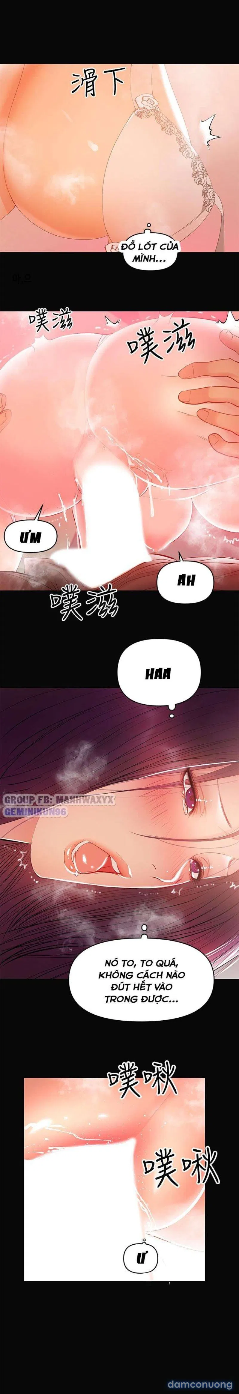 Bầu Sữa Vú Nuôi 
