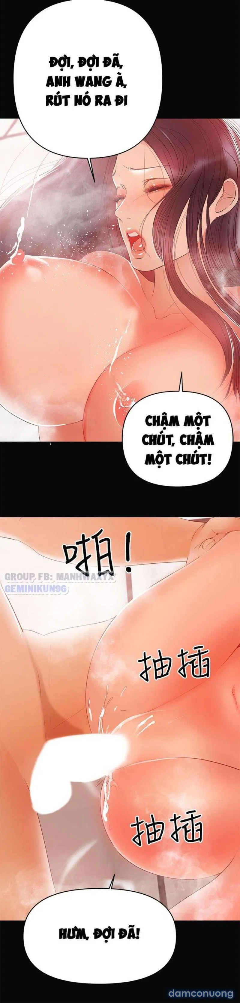 Bầu Sữa Vú Nuôi 