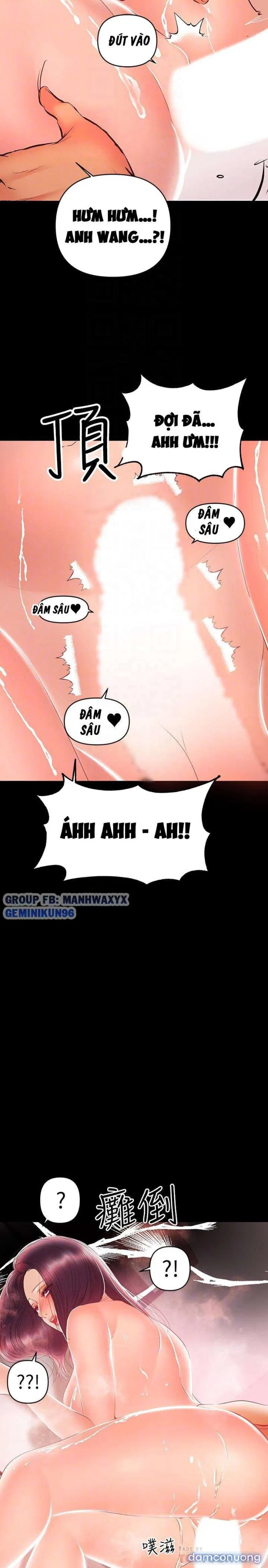 Bầu Sữa Vú Nuôi 