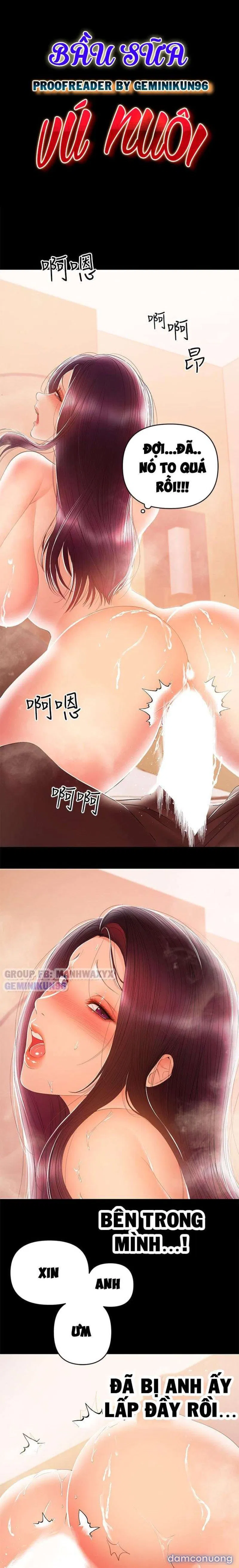 Bầu Sữa Vú Nuôi 