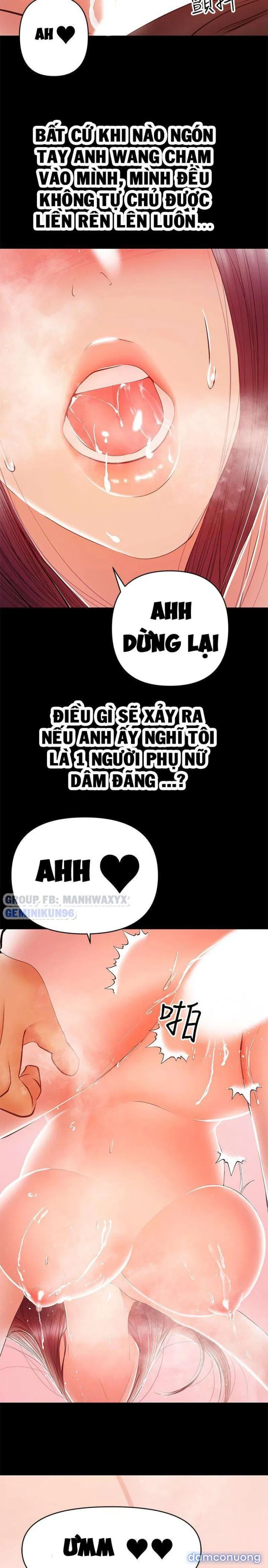 Bầu Sữa Vú Nuôi 