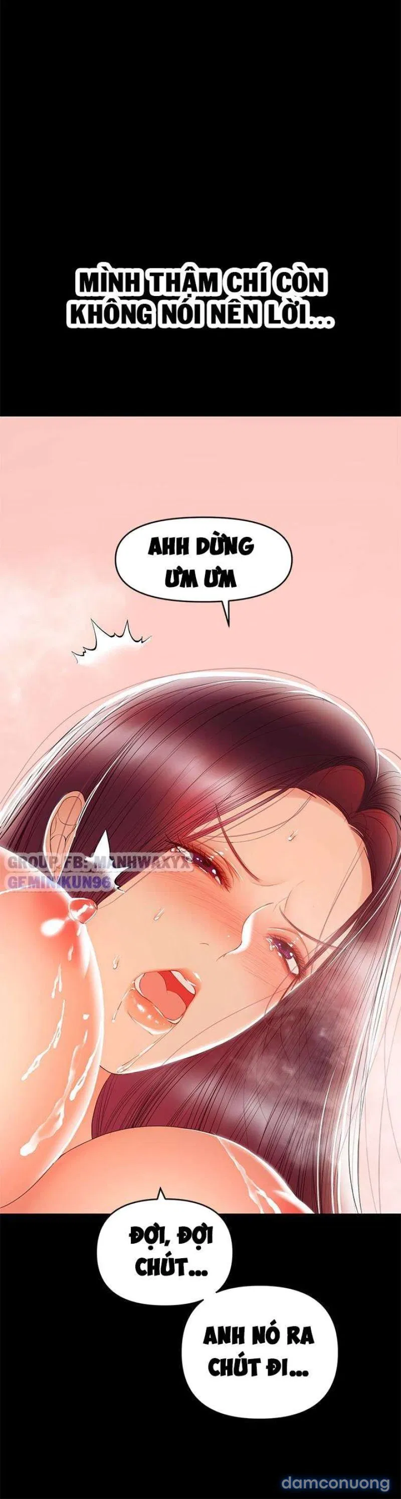 Bầu Sữa Vú Nuôi 