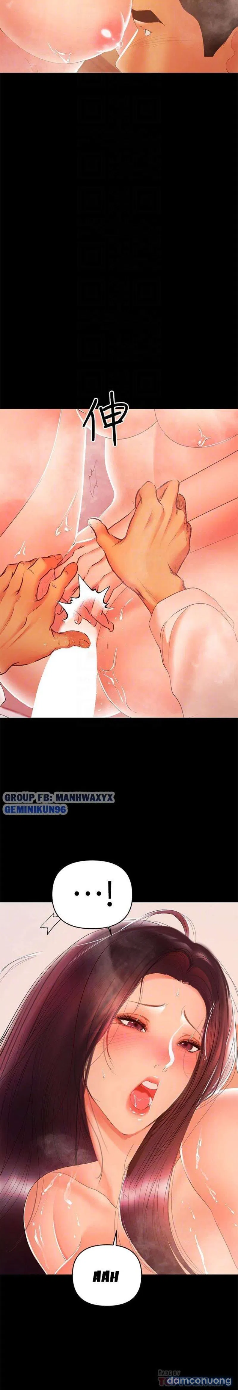 Bầu Sữa Vú Nuôi 