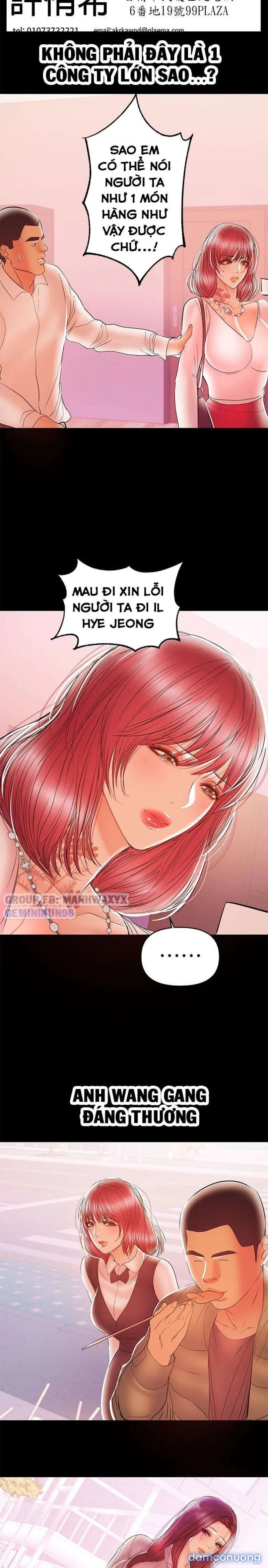 Bầu Sữa Vú Nuôi 