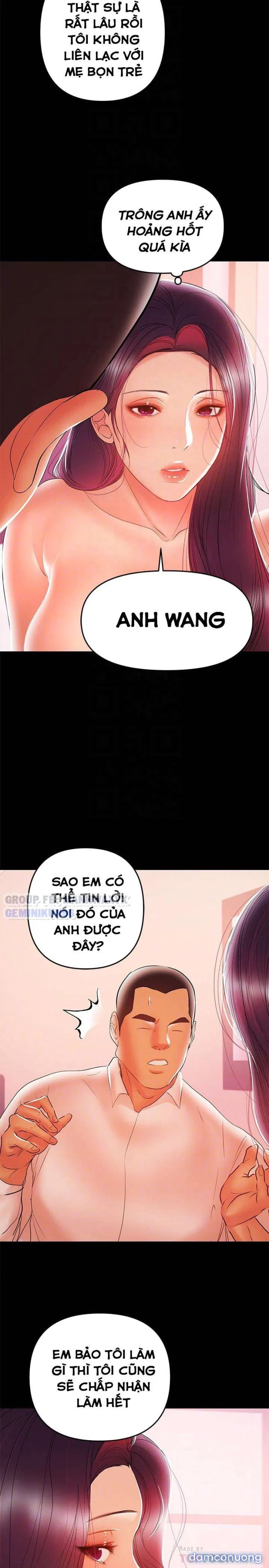 Bầu Sữa Vú Nuôi 