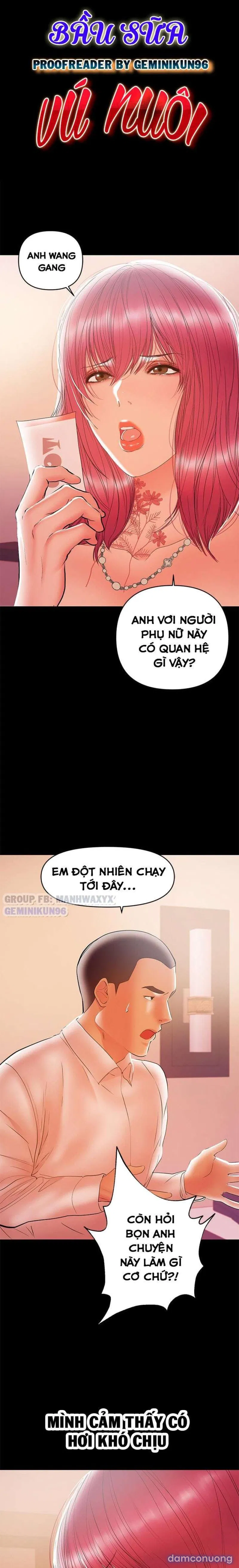 Bầu Sữa Vú Nuôi 