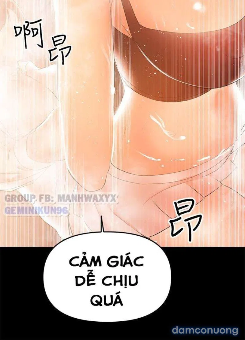 Bầu Sữa Vú Nuôi 