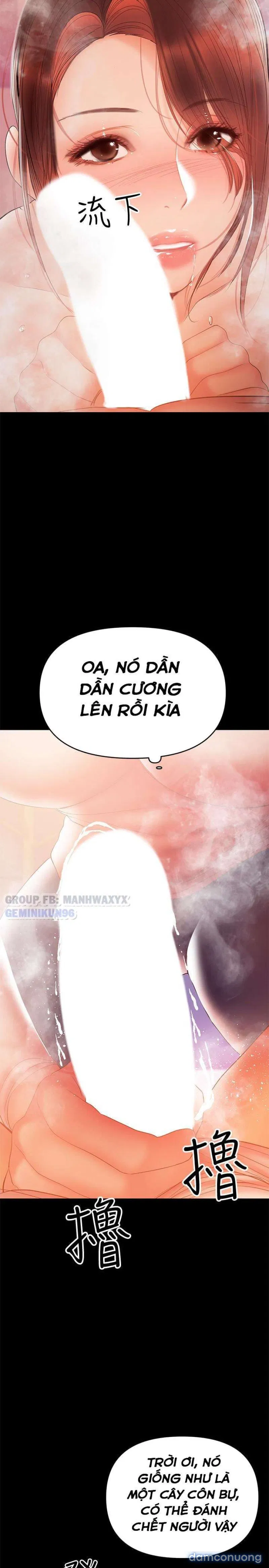 Bầu Sữa Vú Nuôi 
