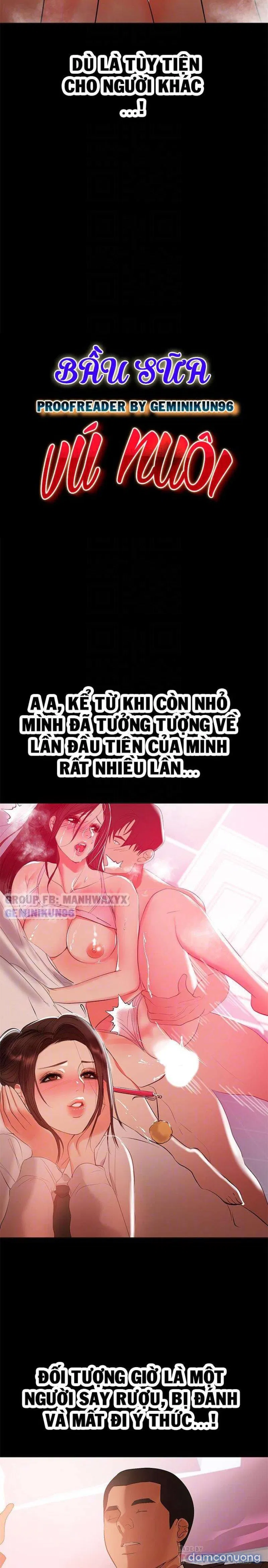 Bầu Sữa Vú Nuôi 